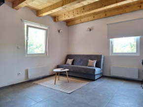 Braun Apartments Kolašin